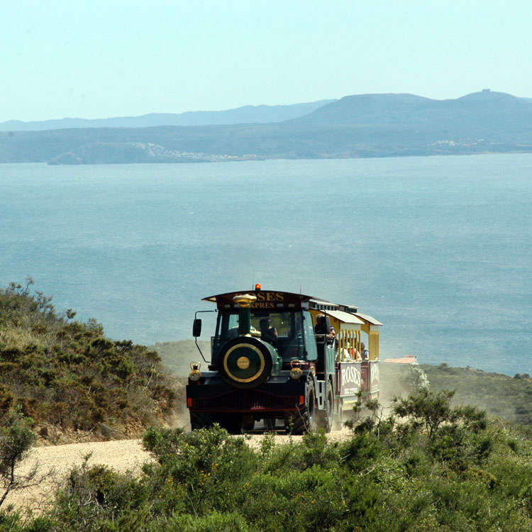 Photo of [subject] Touristic Train: Puig Alt