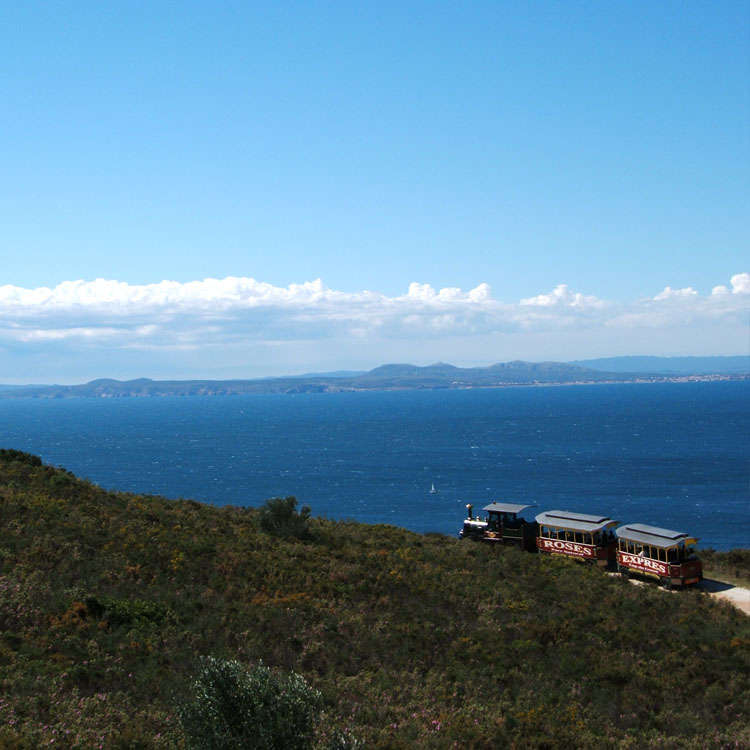 Photo of [subject] Touristic Train: Falconera